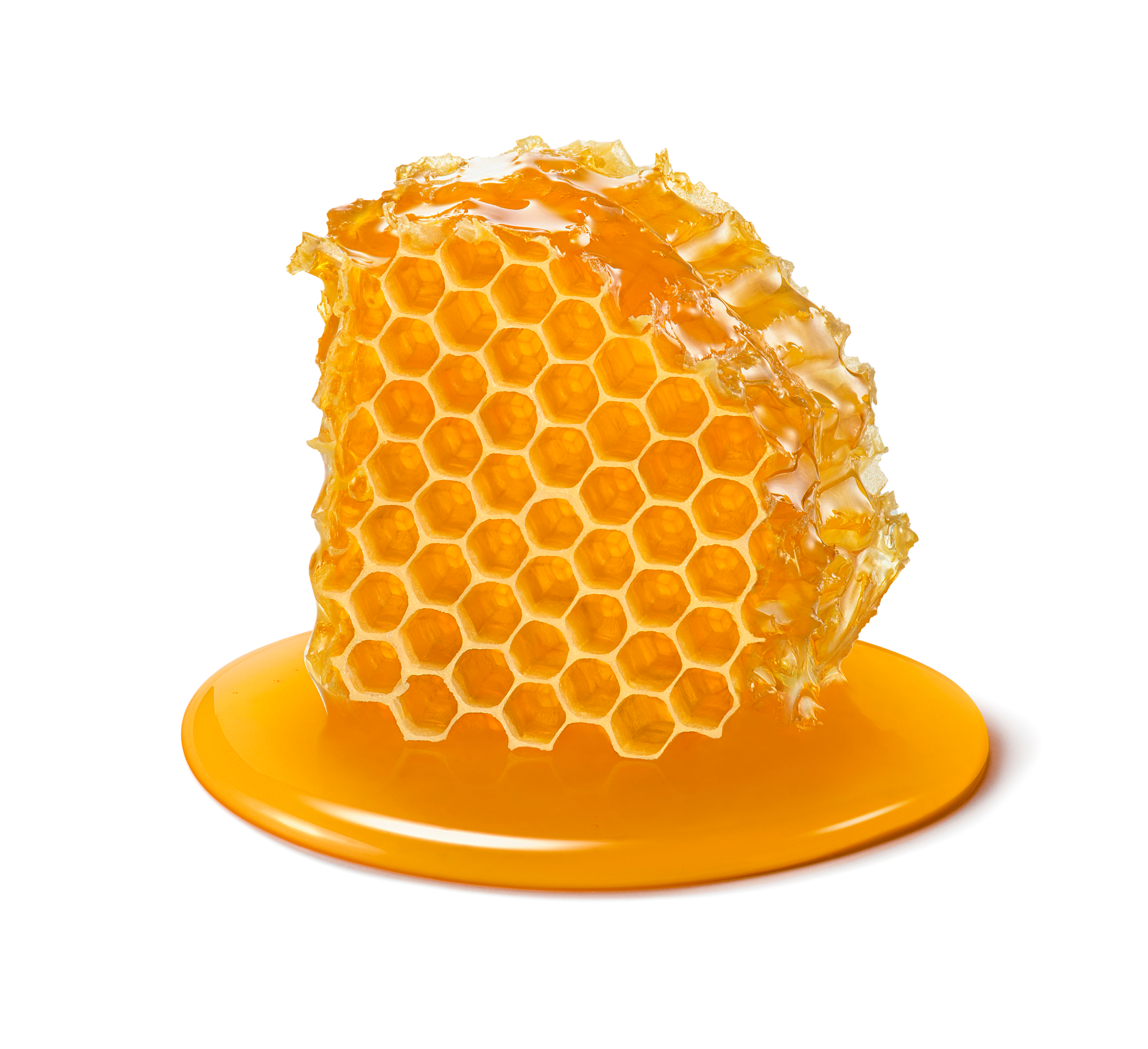 shutterstock honeycomb